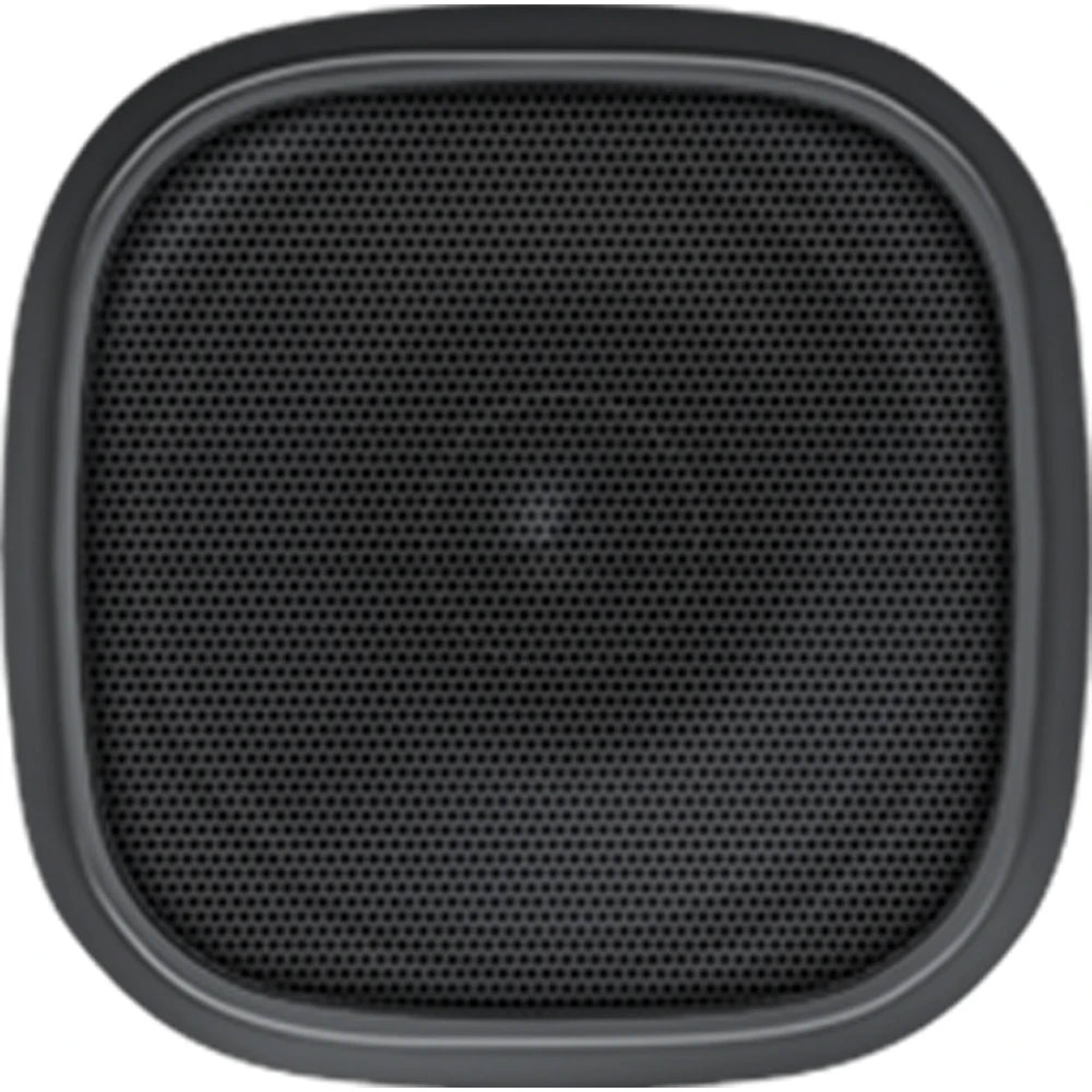 Speaker