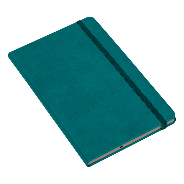 upload/urunler/stok/70880-ty-13x21-kartal-tarihsiz-ajanda-turkuaz-yesil-promosyon-defter-ajanda-45690-14-B.jpg