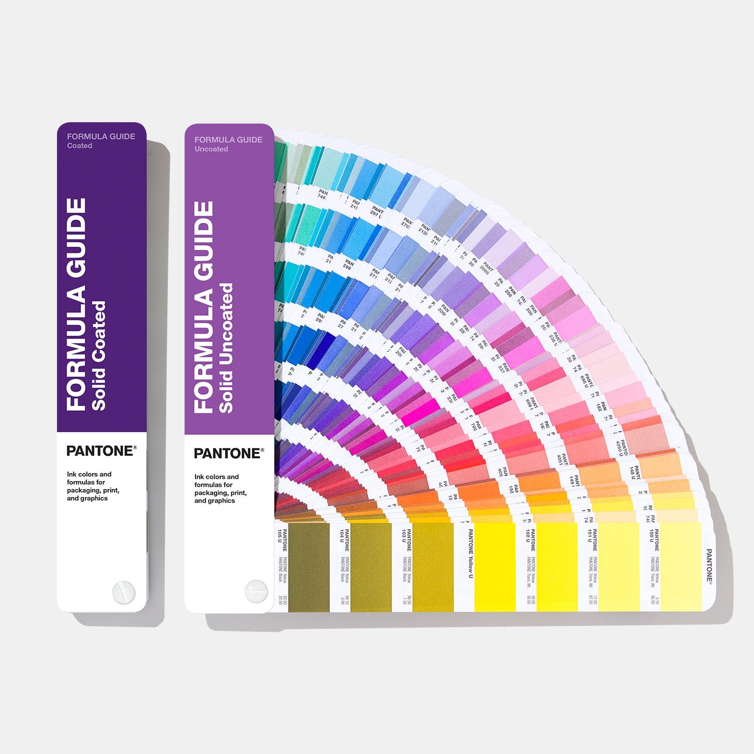 Pantone Renk Nedir?